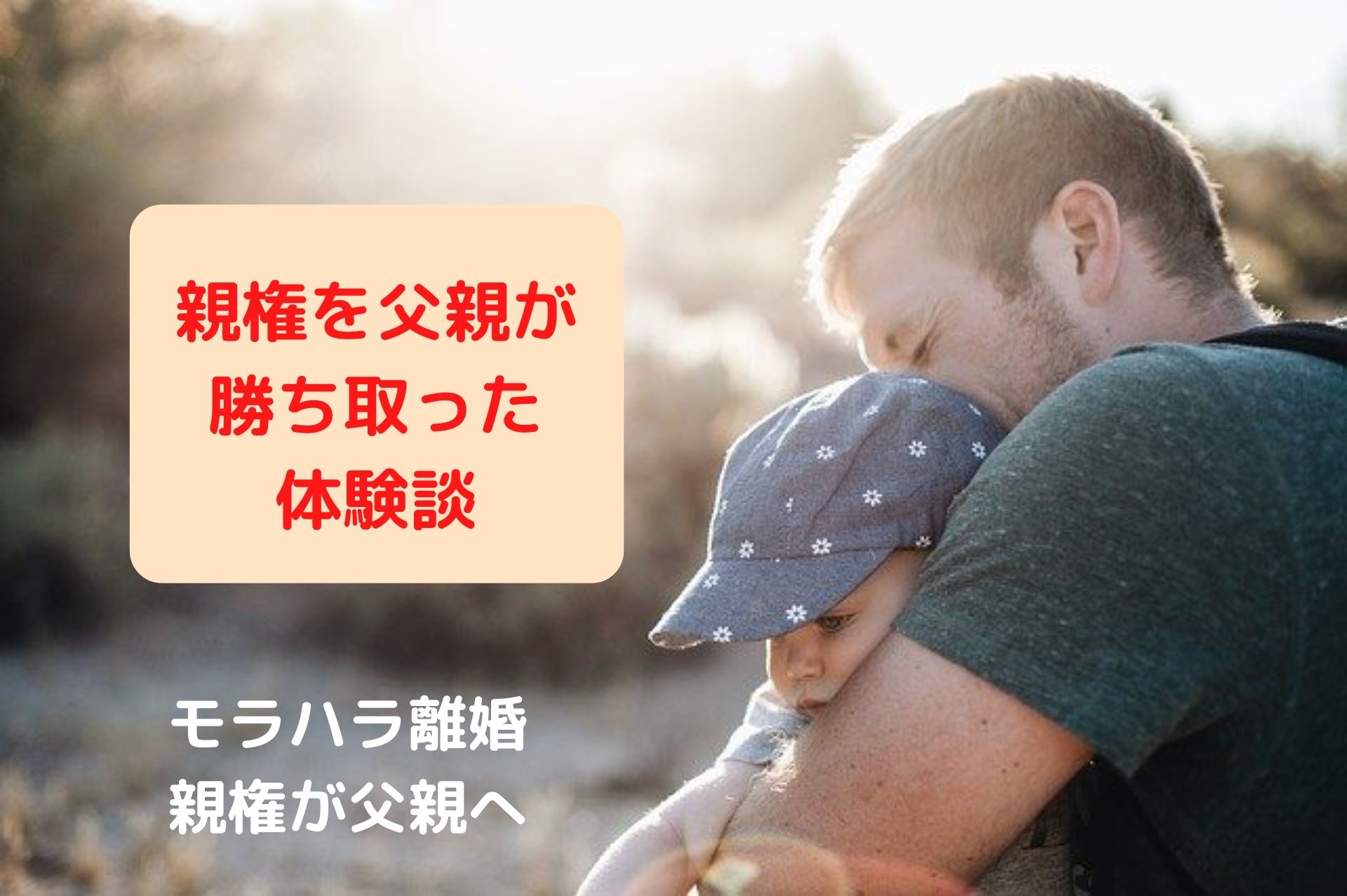 親権を父親に取られた 弁護士を雇ったのにどうして モラハラ離婚体験談 しんママ りんごの子育てブログ